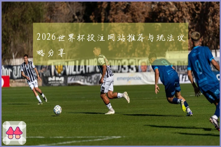2026世界杯投注网站推荐与玩法攻略分享
