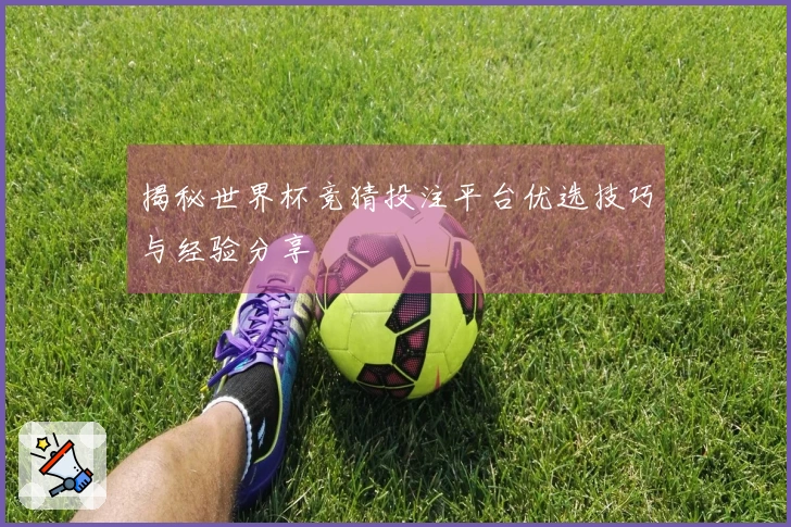 揭秘世界杯竞猜投注平台优选技巧与经验分享
