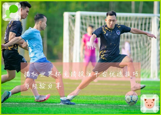揭秘世界杯竞猜投注平台优选技巧与经验分享