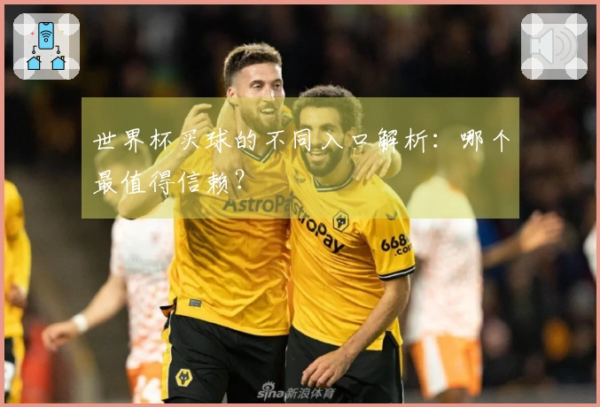 世界杯买球的不同入口解析：哪个最值得信赖？