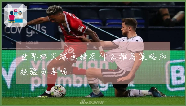 世界杯买球竞猜有什么推荐策略和经验分享吗