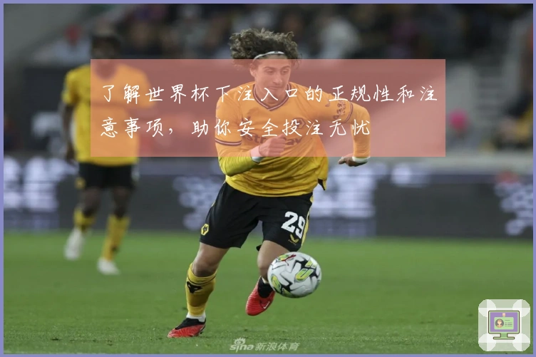 了解世界杯下注入口的正规性和注意事项，助你安全投注无忧